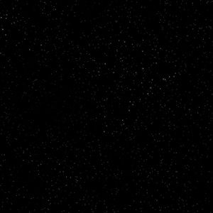 Meet your Posher, Bean